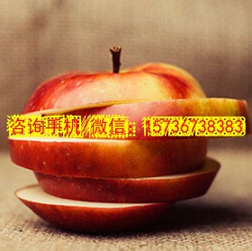 行车记录仪安装