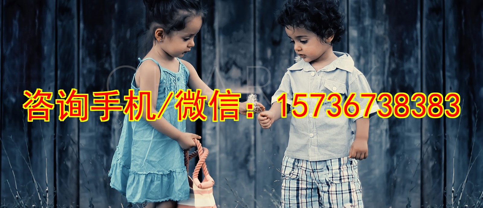 河池代妈代怀代母助孕汽车零部件商行